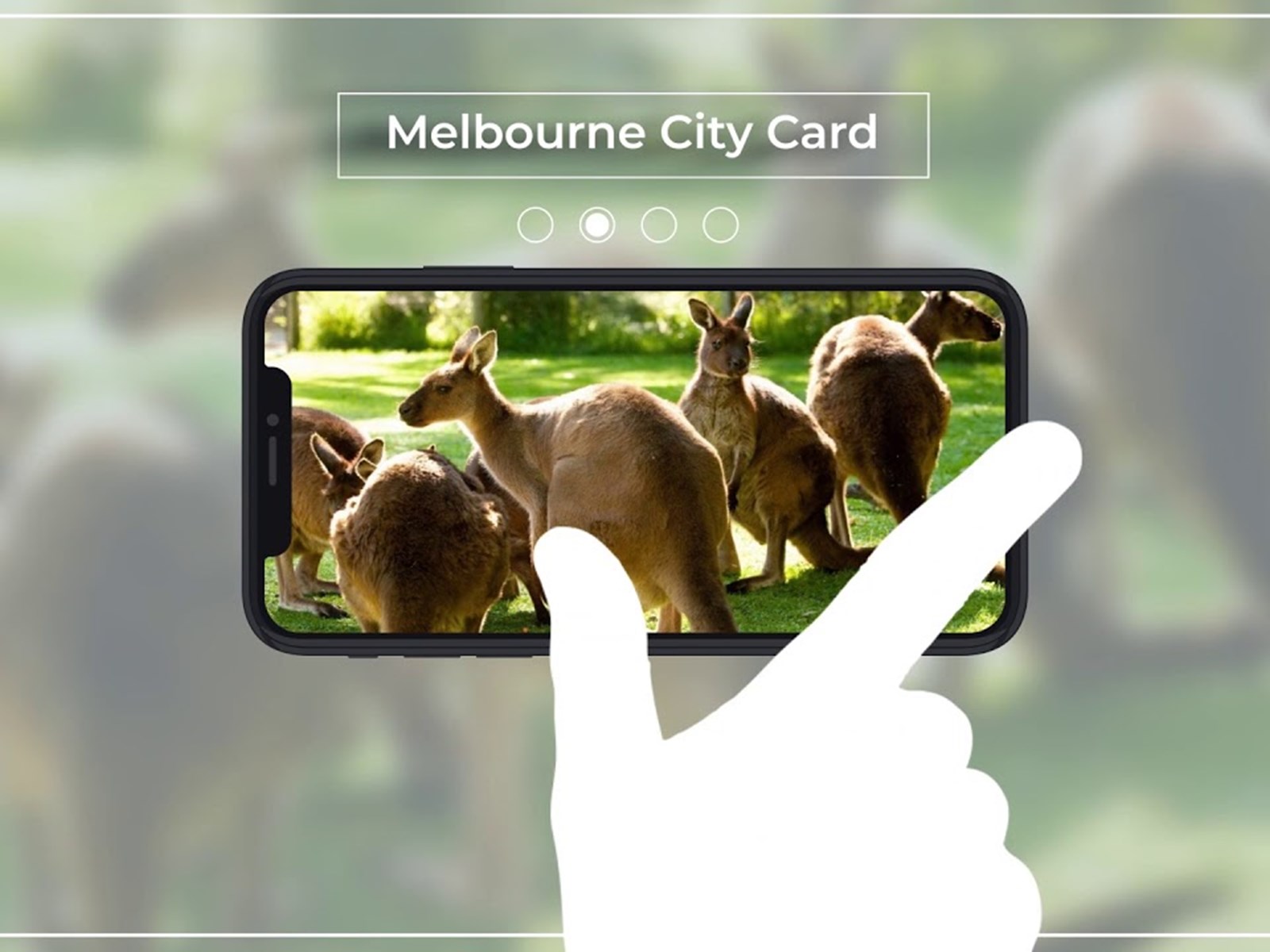 Status Cards  Melbourne VIC